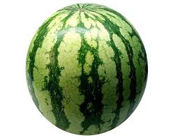 Watermelon Fresh